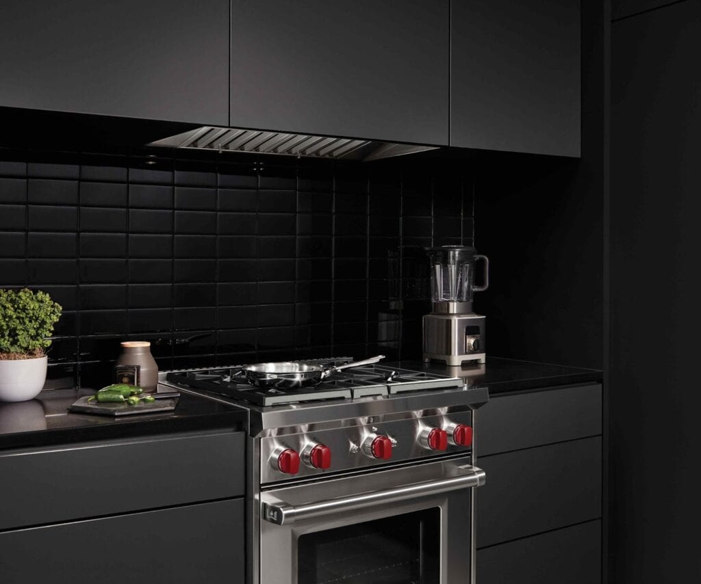 A luxury kitchen features a stainless steel gas stove with red knobs, a black tiled backsplash, a blender, and potted herbs on the sleek black countertop.